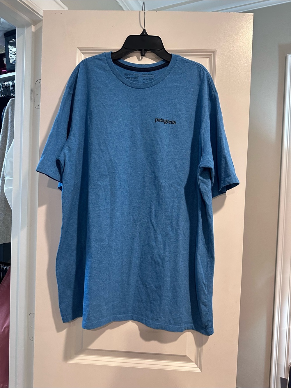 Patagonia Short‑Sleeve Crew Tee in Sky Blue with Small Logo